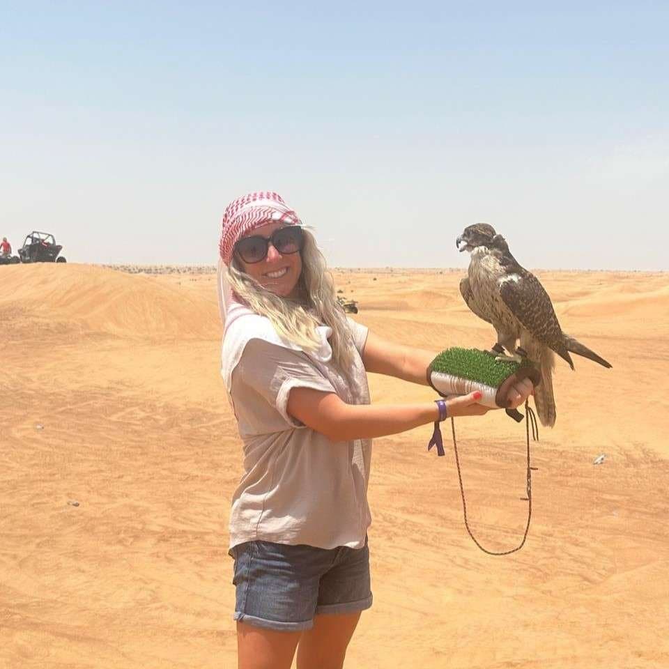 Falcon experience