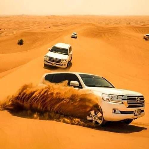 Private Morning Desert Safari
