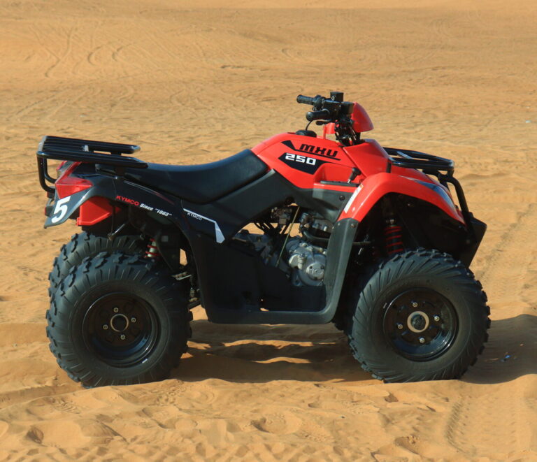 sand buggies off road buggies offroad polaris off road dune buggy buggy rental