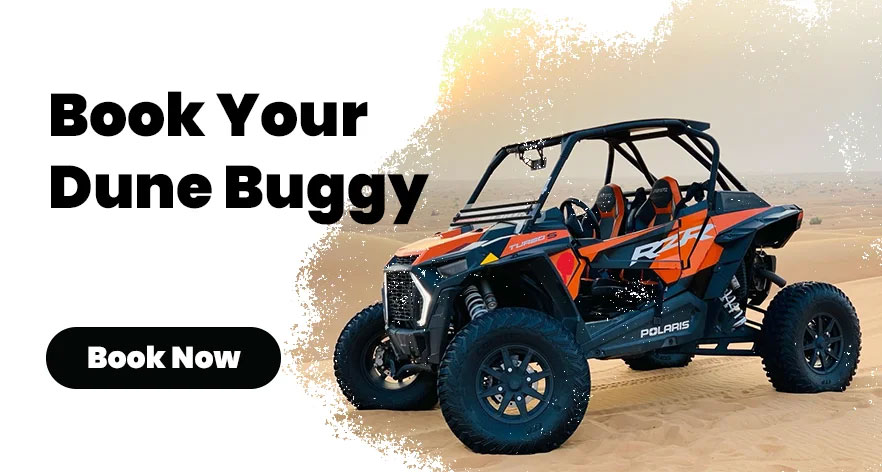 png-buggy