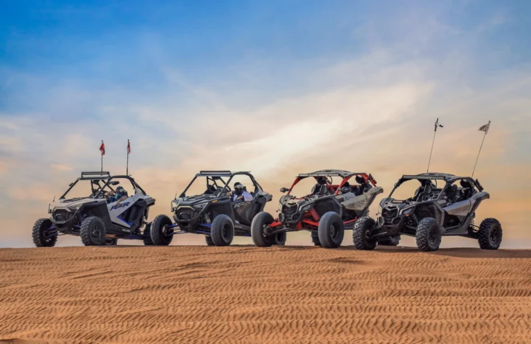 Dune buggy rental